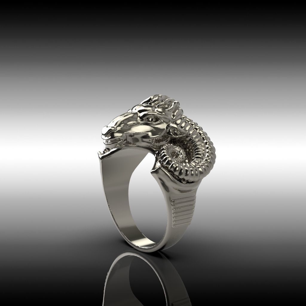 Ring  ram 3D print model_5