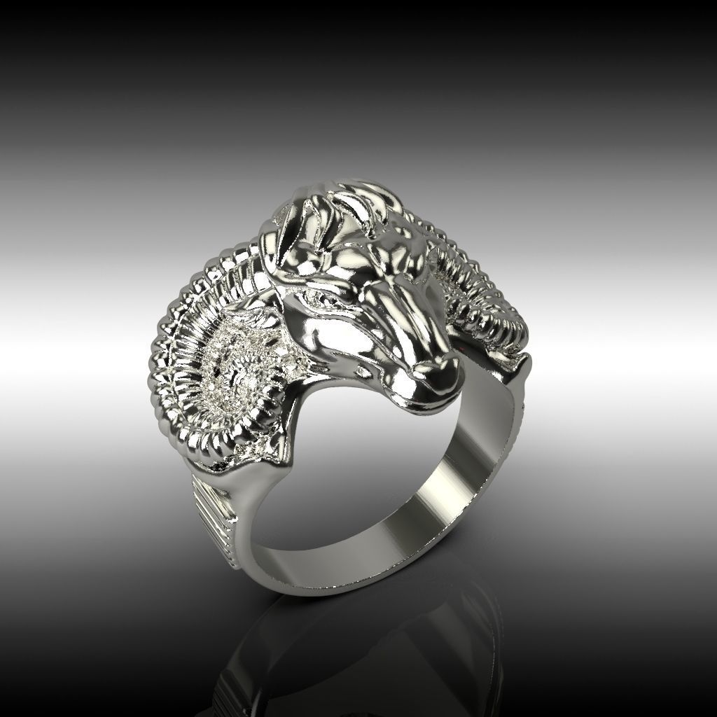 Ring  ram 3D print model_2