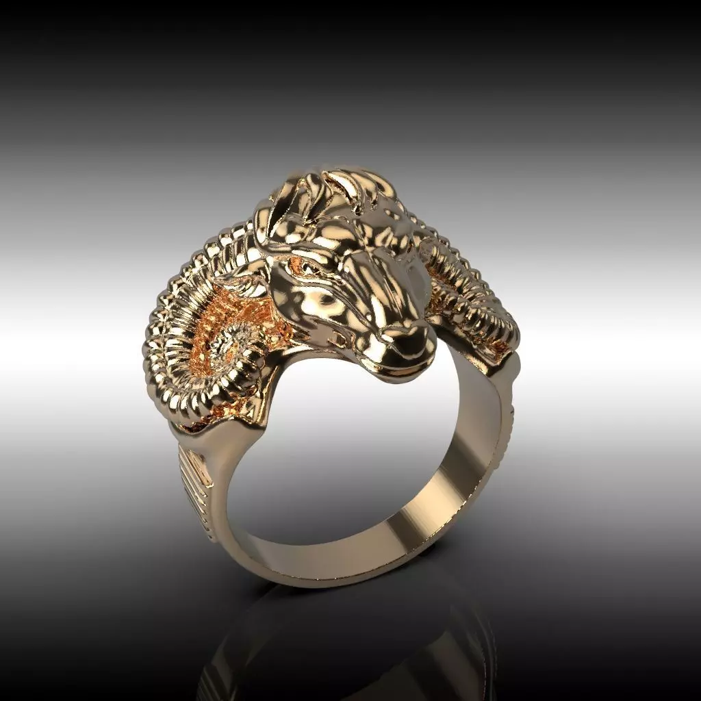 Ring  ram 3D print model_0