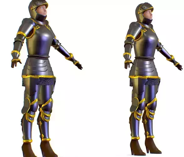 Subdivision 3D Women The Grey Knight