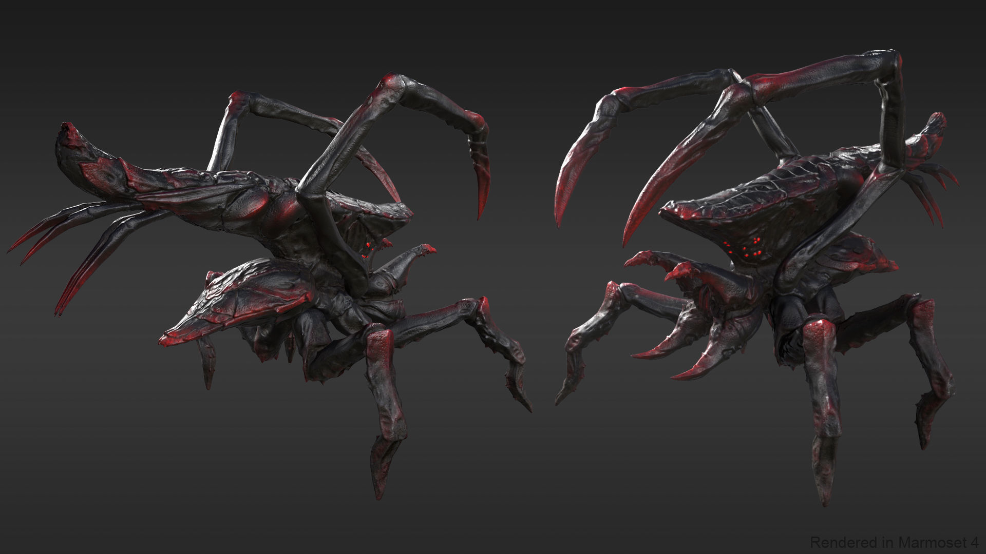 Arachnid group of spiders Low-poly 3D model_3