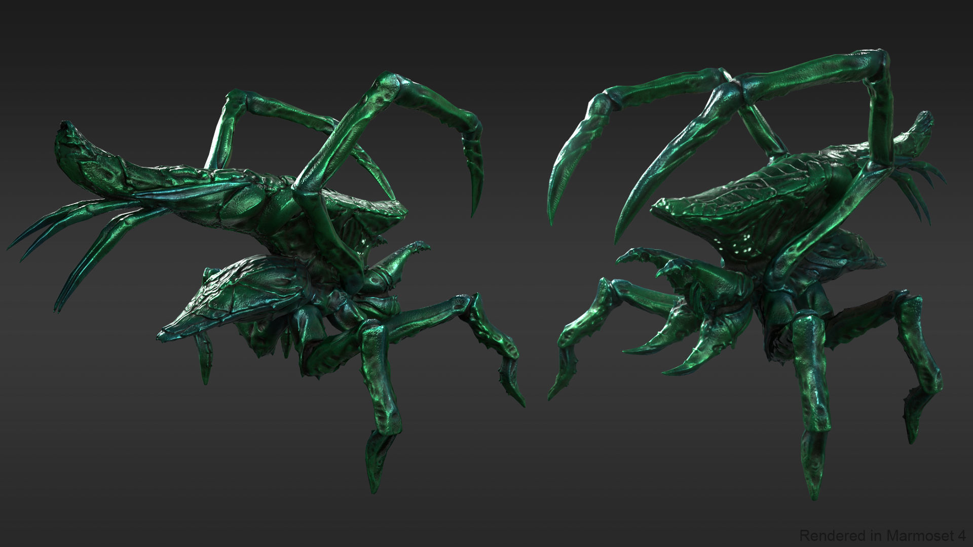 Arachnid group of spiders Low-poly 3D model_4
