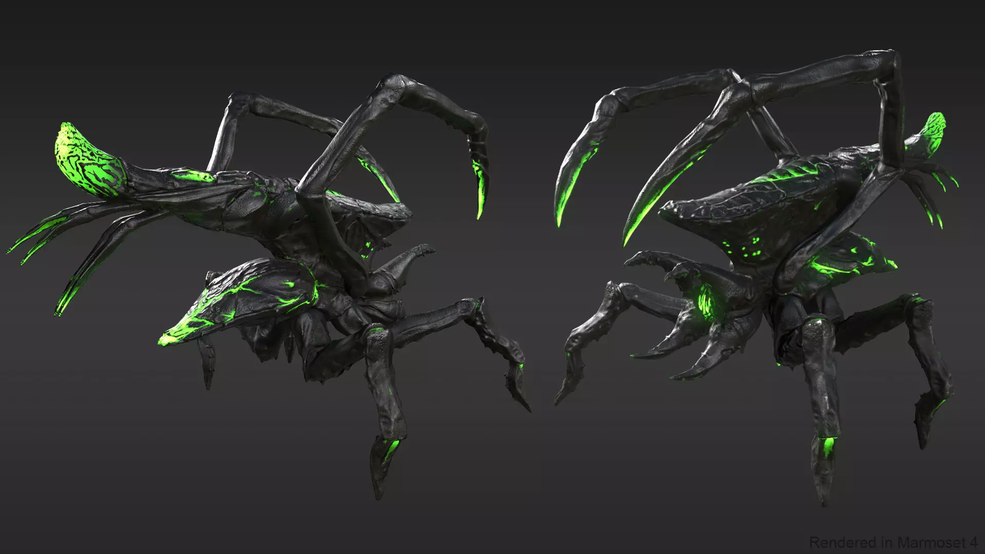 Arachnid group of spiders Low-poly 3D model_0