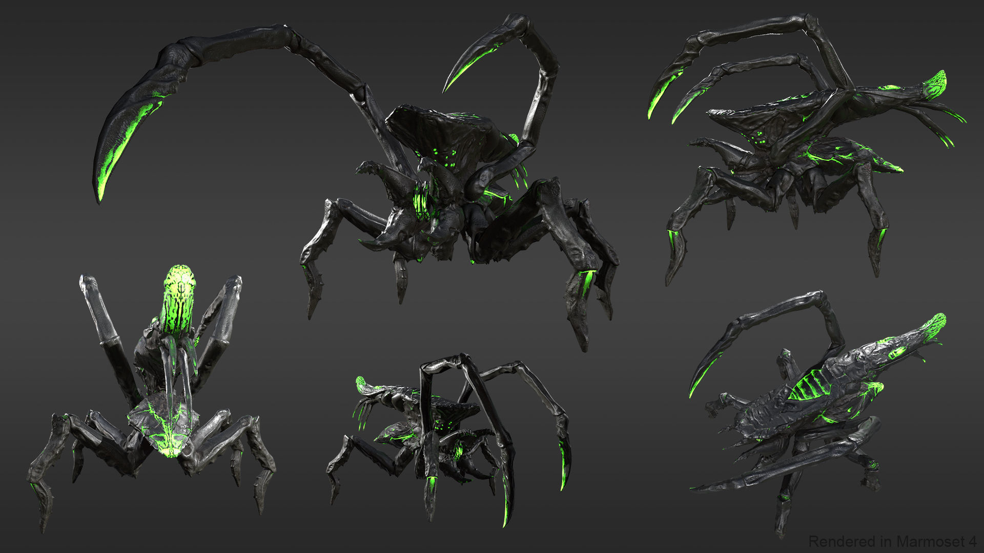 Arachnid group of spiders Low-poly 3D model_8