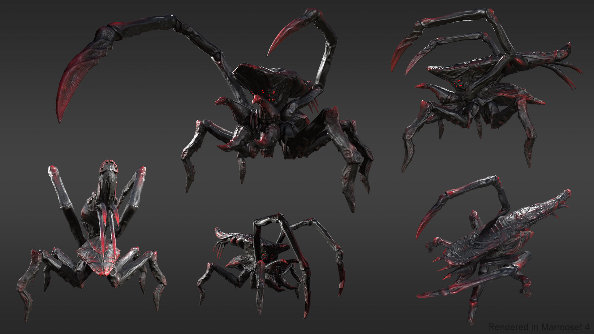Arachnid group of spiders Low-poly 3D model_9