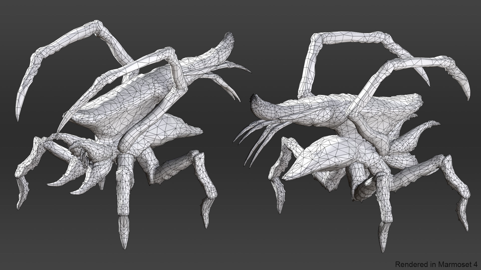Arachnid group of spiders Low-poly 3D model_13