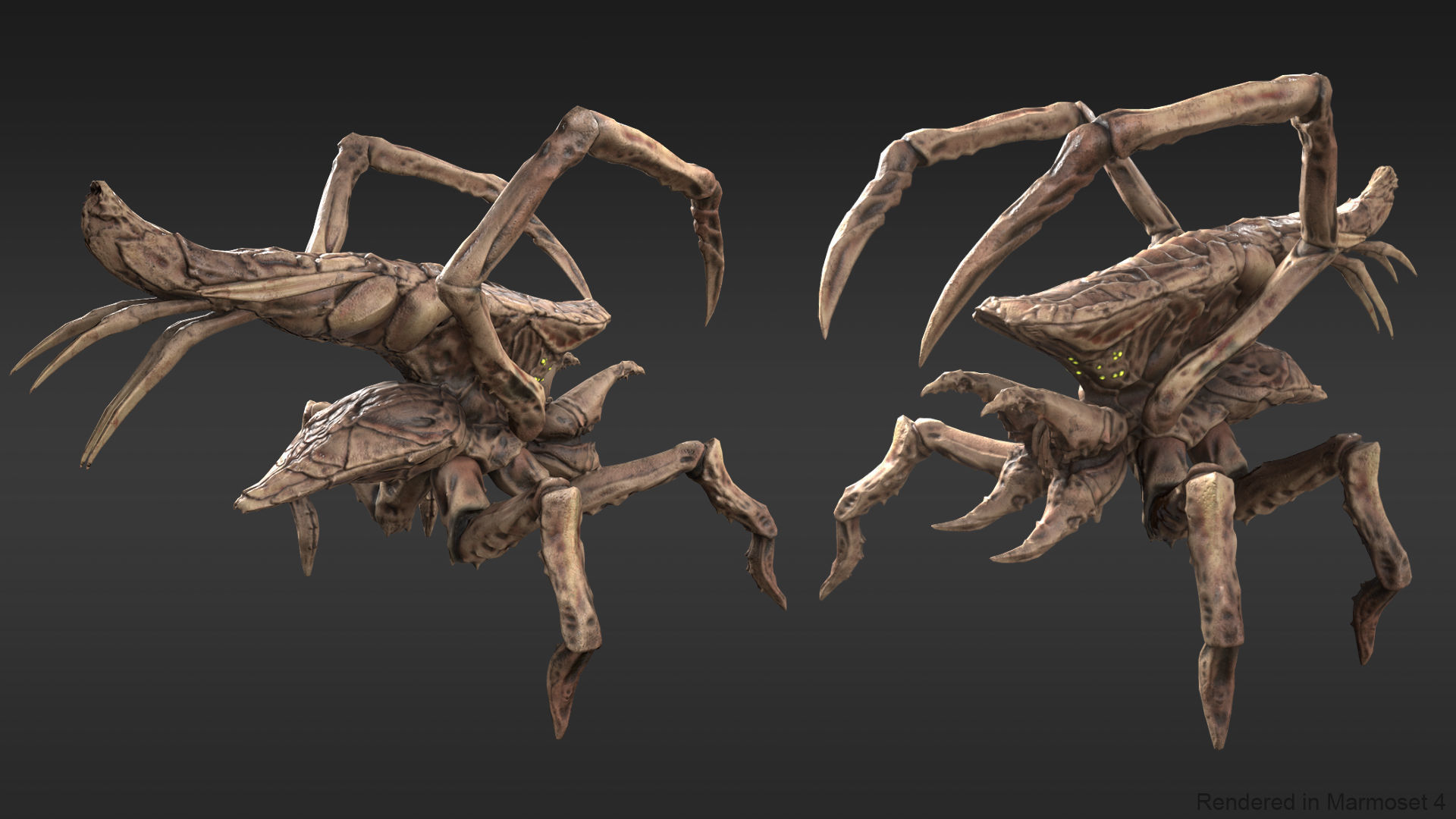 Arachnid group of spiders Low-poly 3D model_6