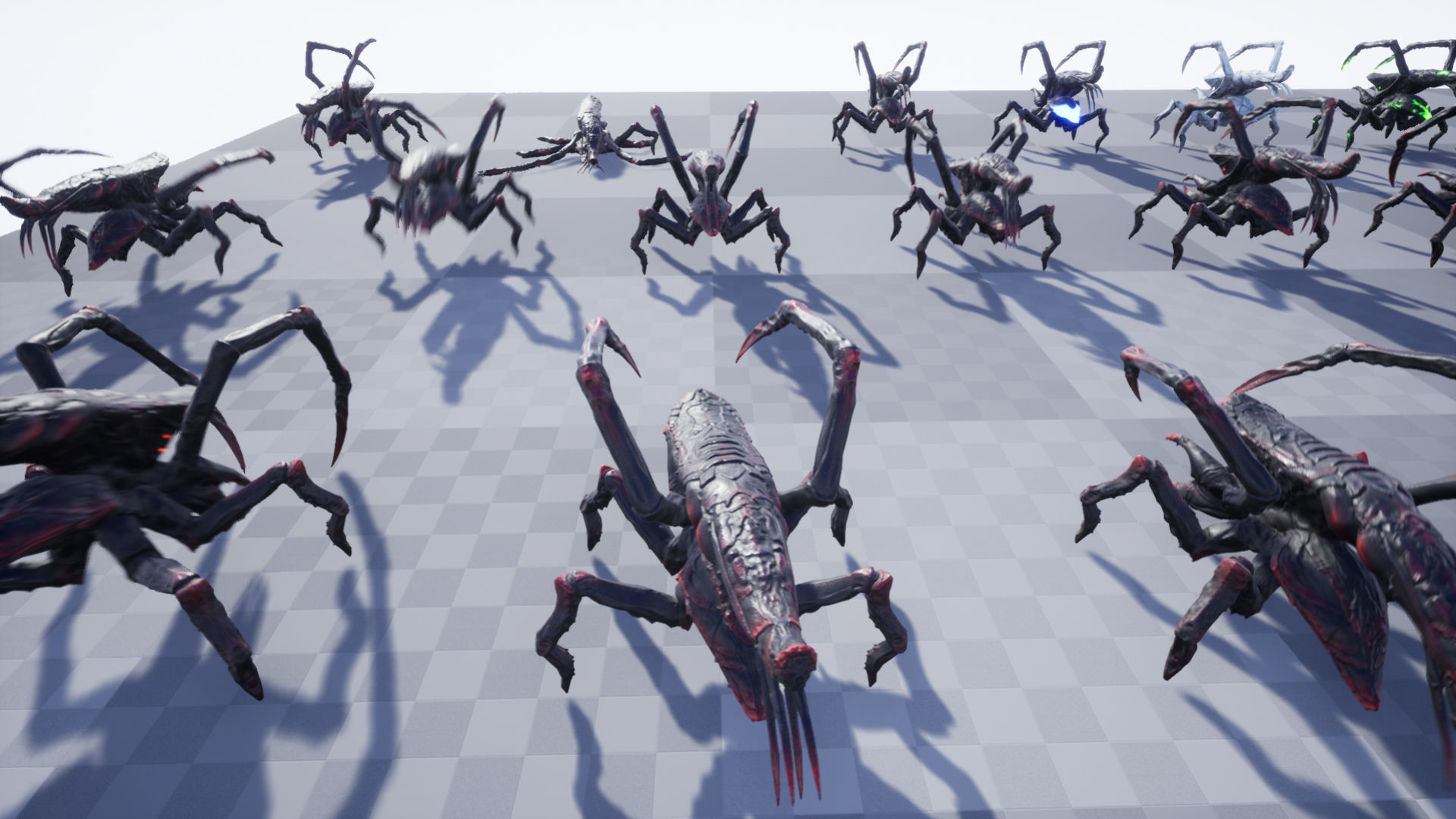 Arachnid group of spiders Low-poly 3D model_18