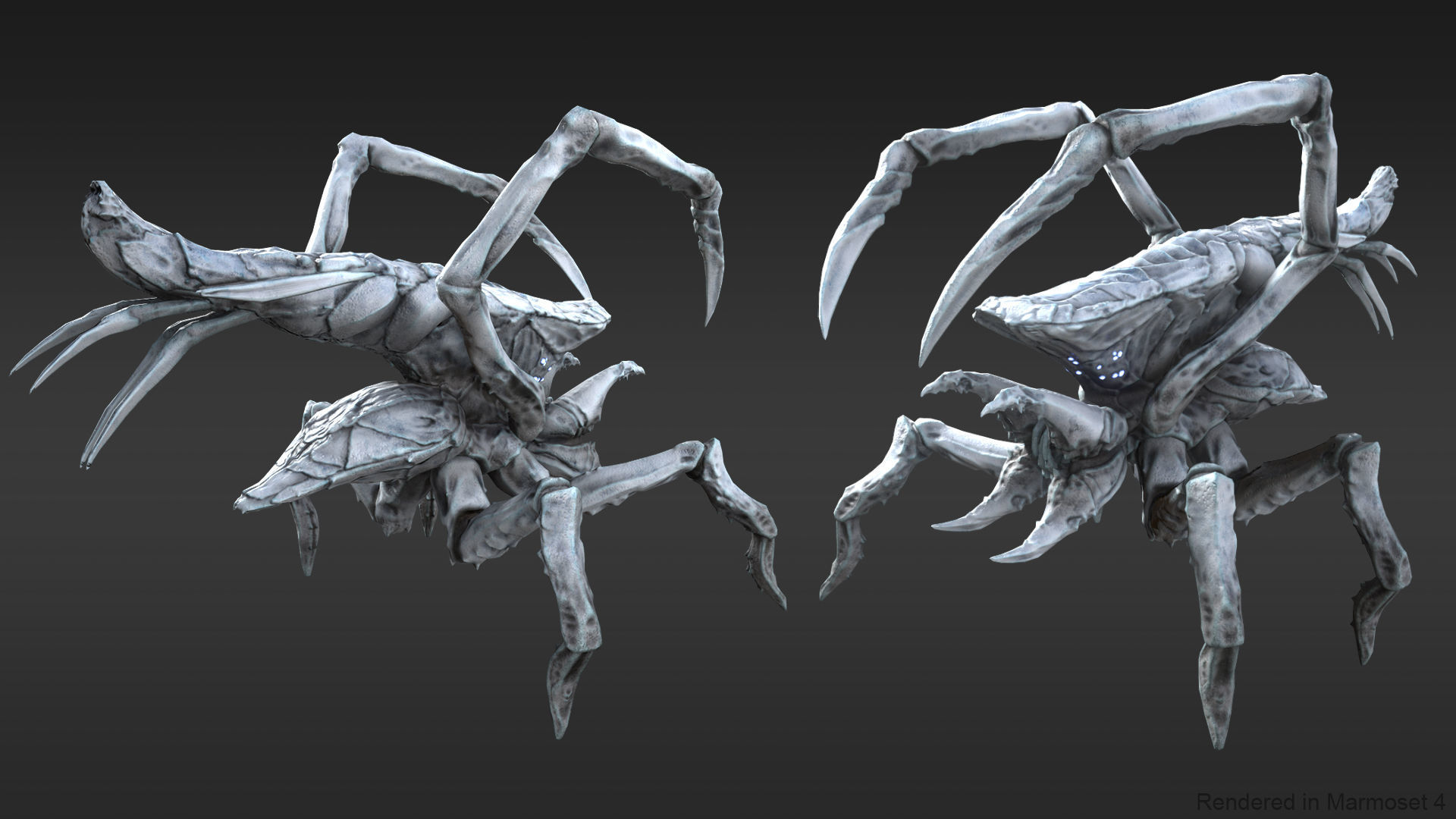 Arachnid group of spiders Low-poly 3D model_7