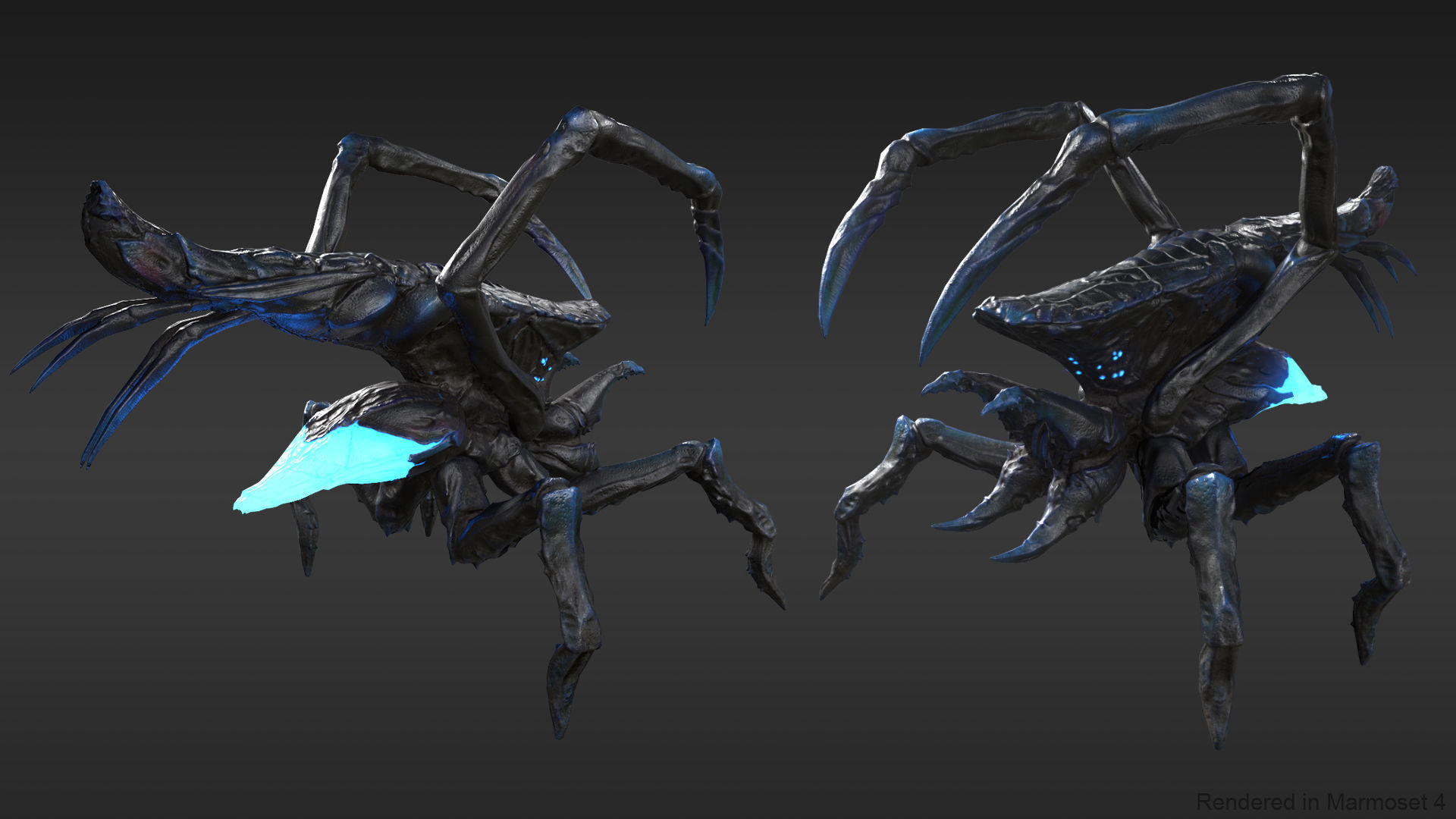 Arachnid group of spiders Low-poly 3D model_5