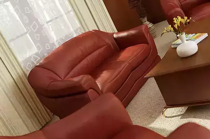 Leather Furniture Collection