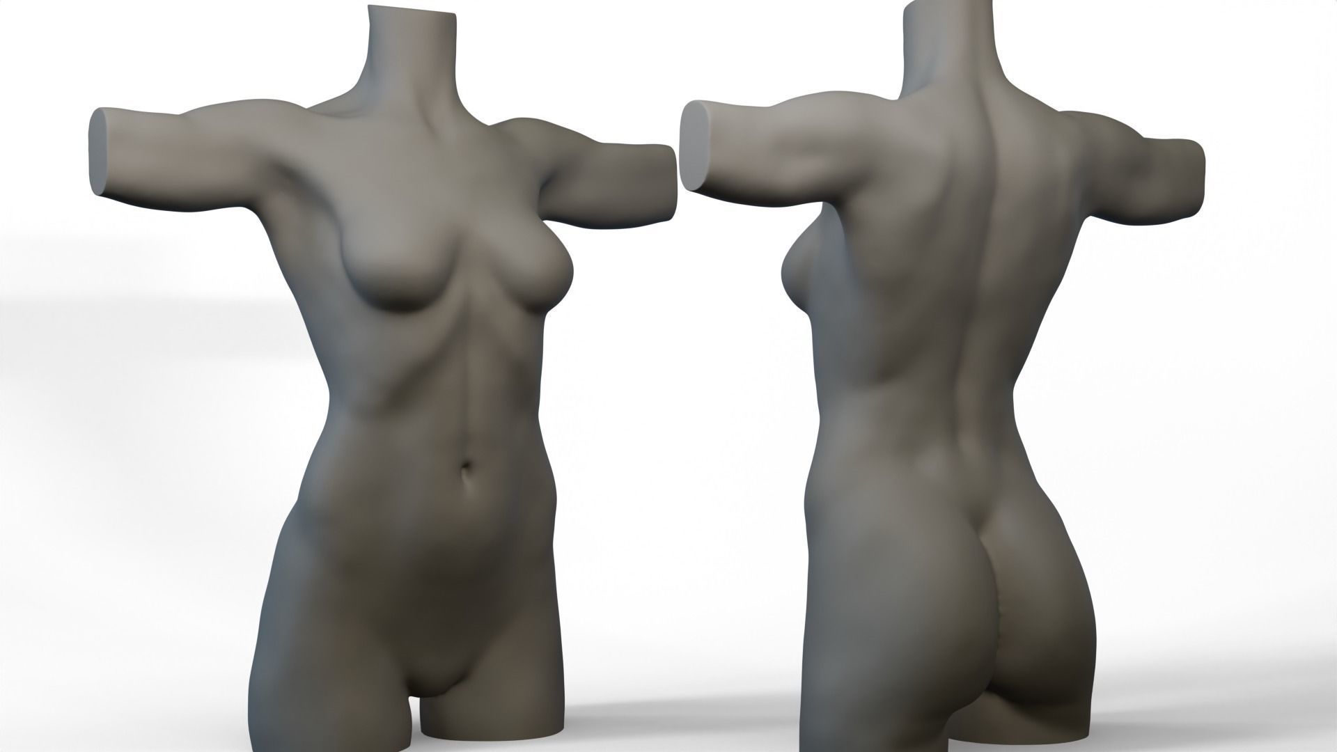 Torso Female  3D model_2