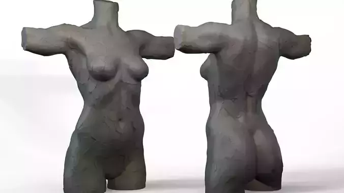 Torso Female  3D model