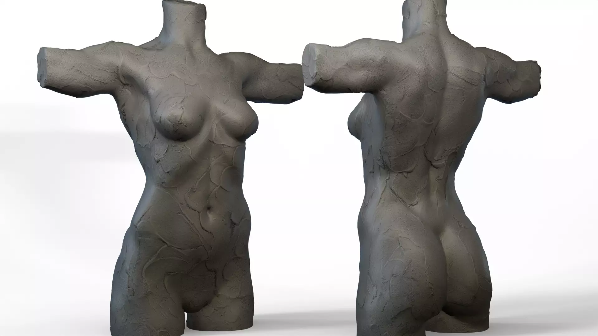 Torso Female  3D model_0