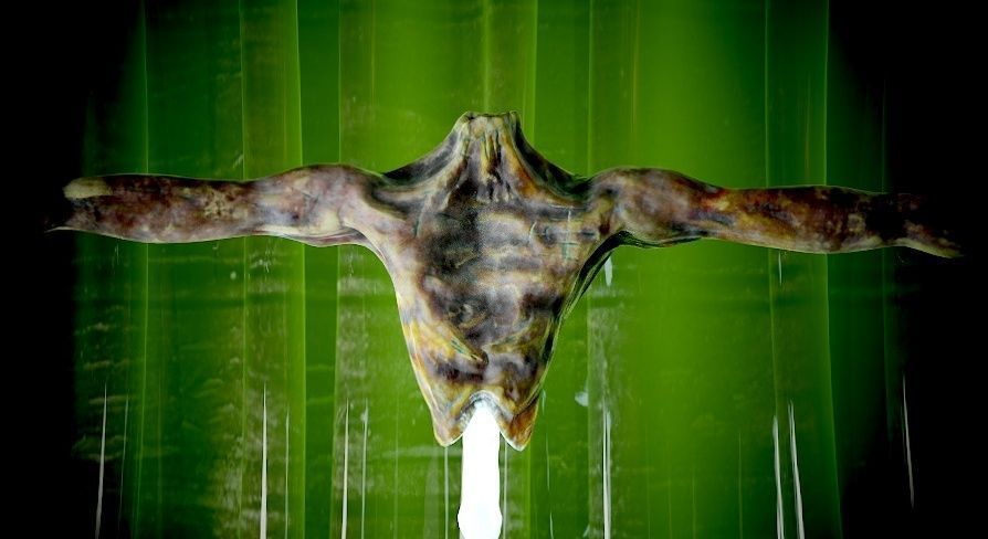 Zombie-Carcass body in with lights Low-poly 3D model_12