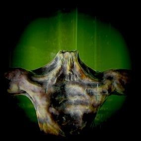 Zombie-Carcass body in with lights Low-poly 3D model_13