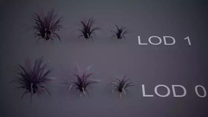 Phormium Dark Delight plant