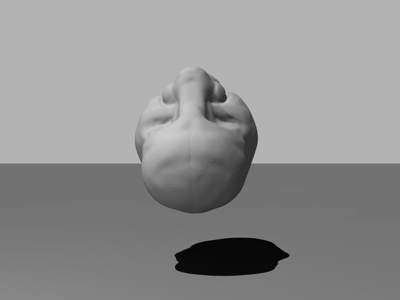 sample human head1 Free 3D model_3