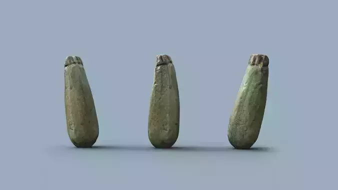 3d scanned zucchini pumpkin