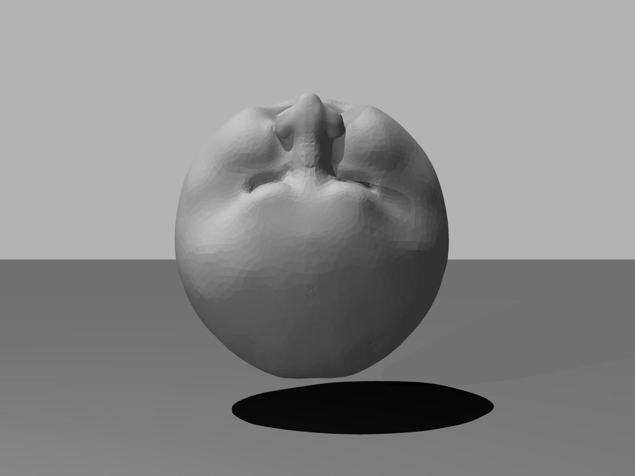 sample human head2 Free 3D model_2