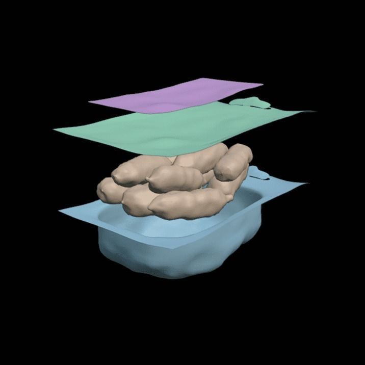 Mini Salami 2 3D model_9