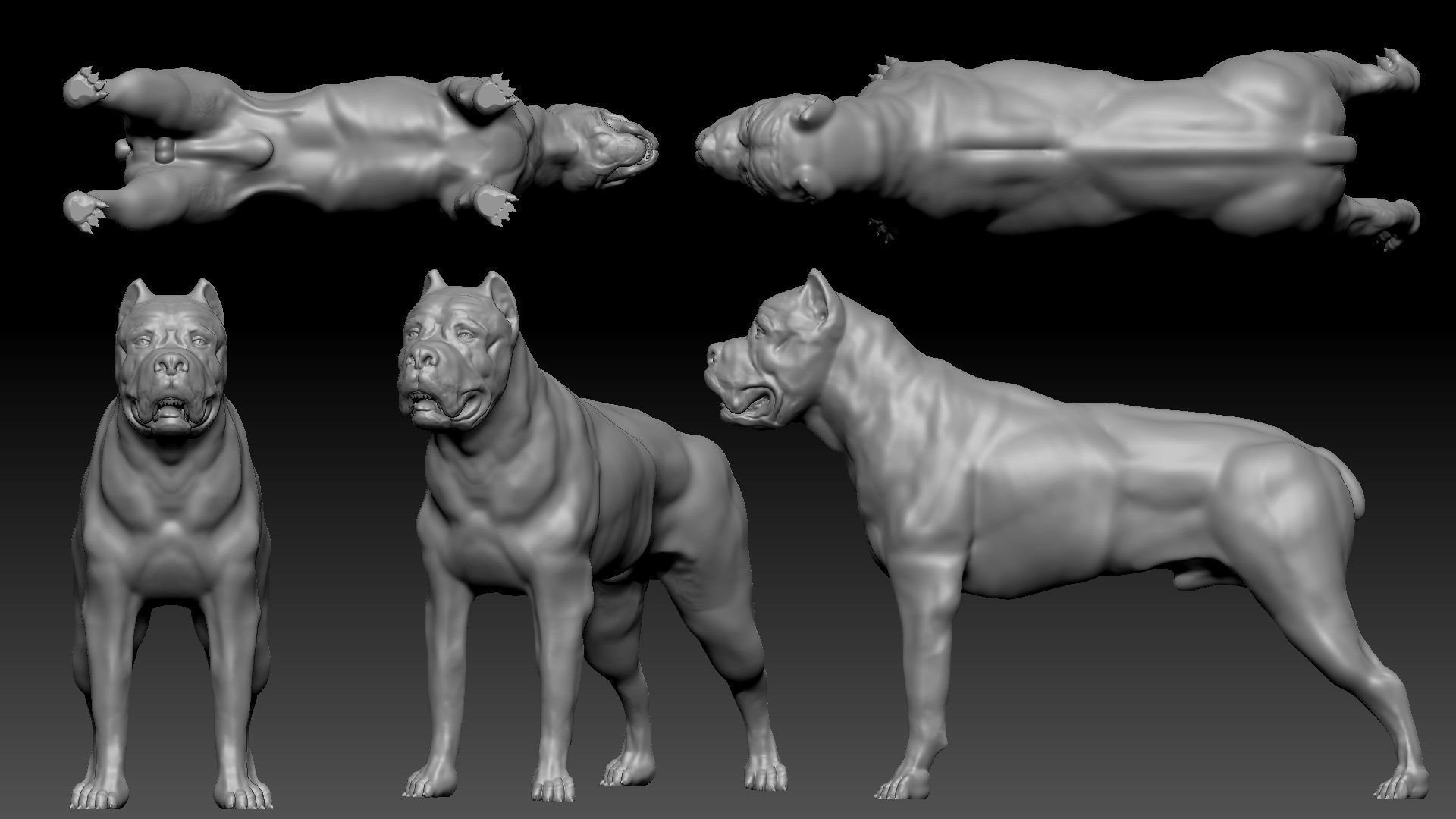 three dog breed Canne Corso 3D print model_3