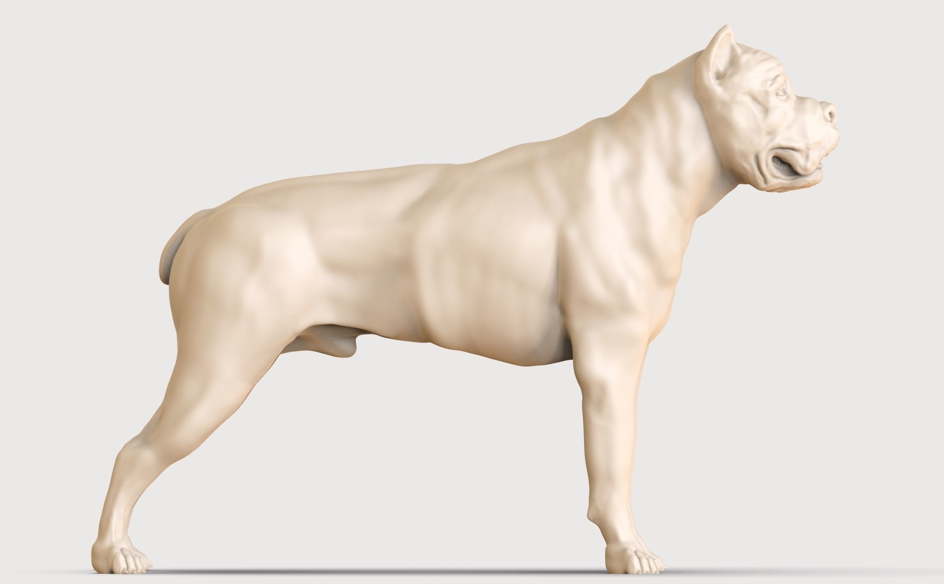 three dog breed Canne Corso 3D print model_17