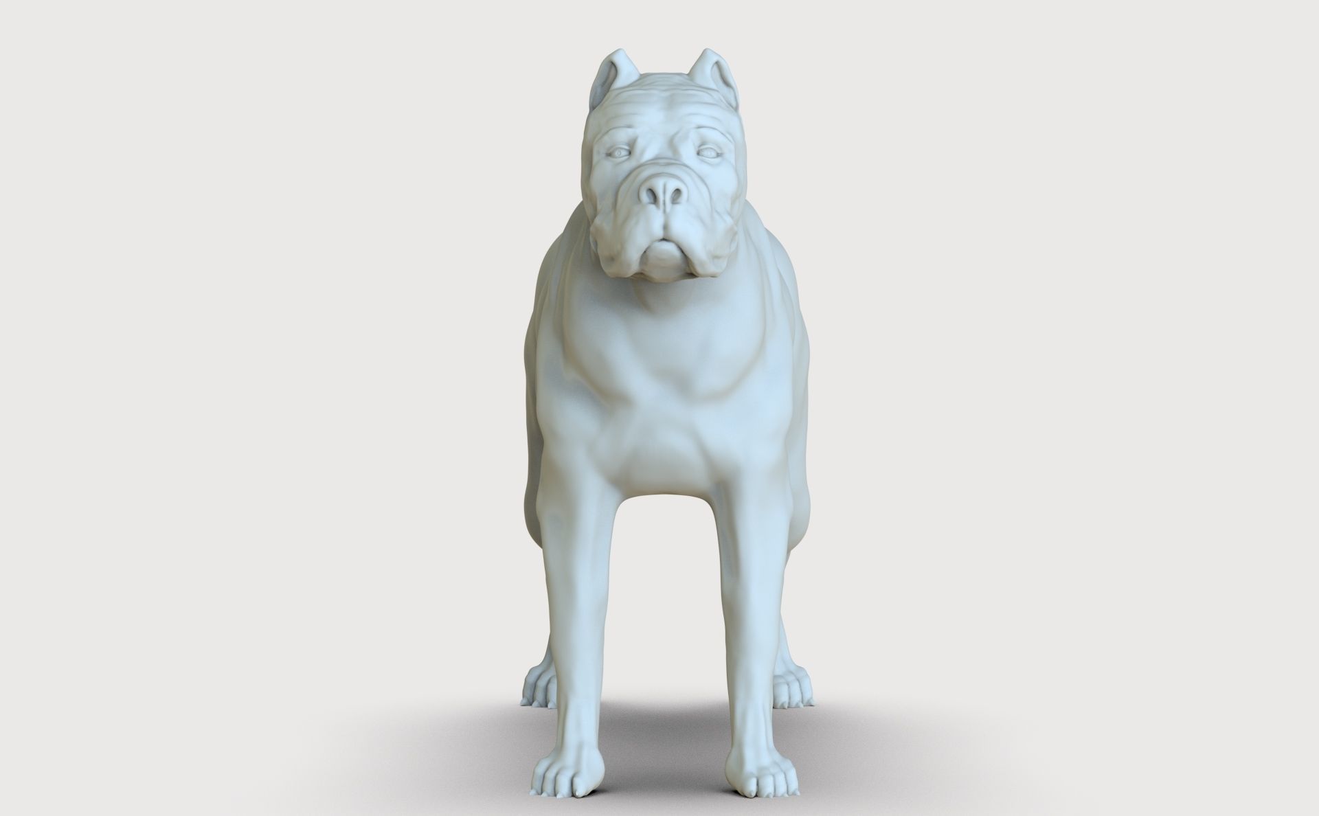 three dog breed Canne Corso 3D print model_13