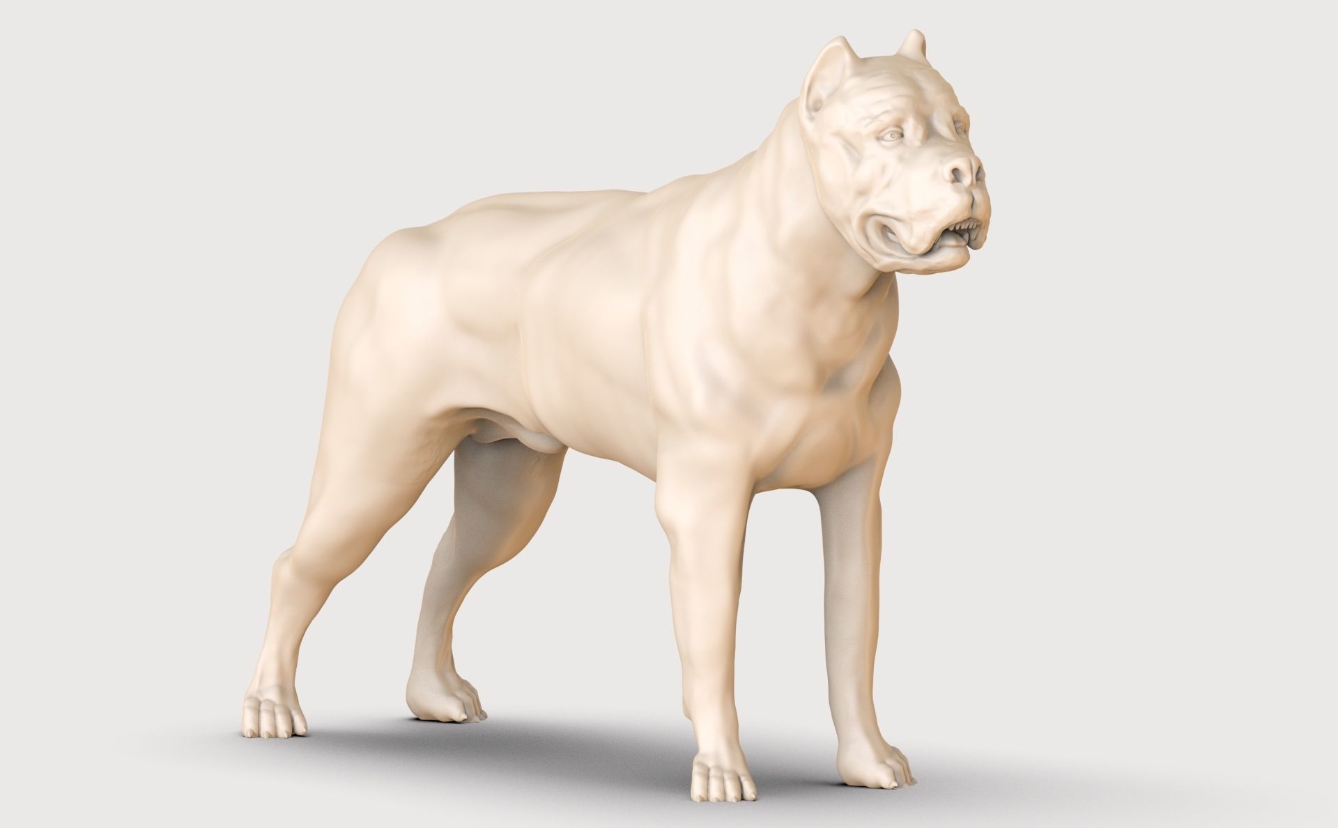 three dog breed Canne Corso 3D print model_18