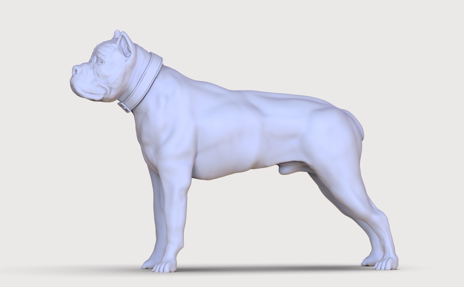 three dog breed Canne Corso 3D print model_28
