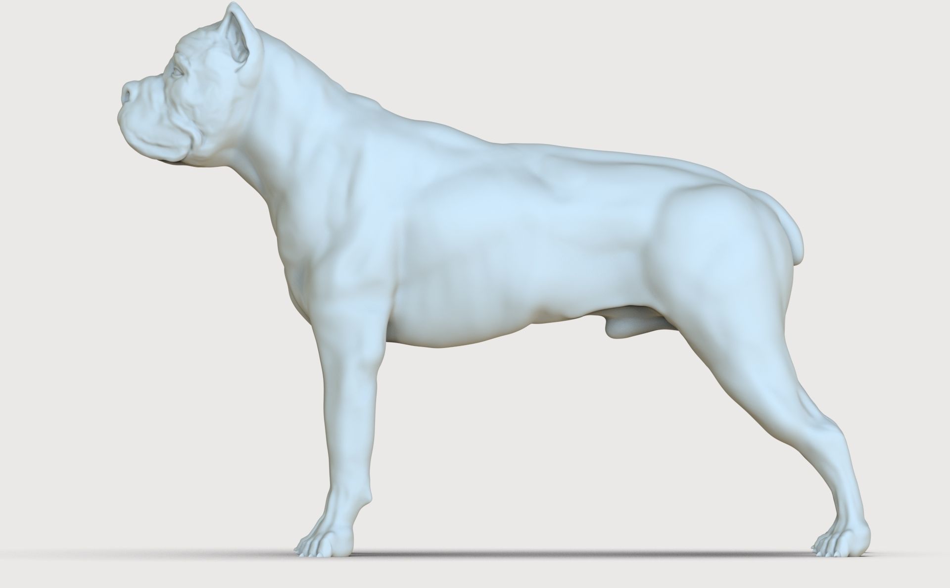 three dog breed Canne Corso 3D print model_11