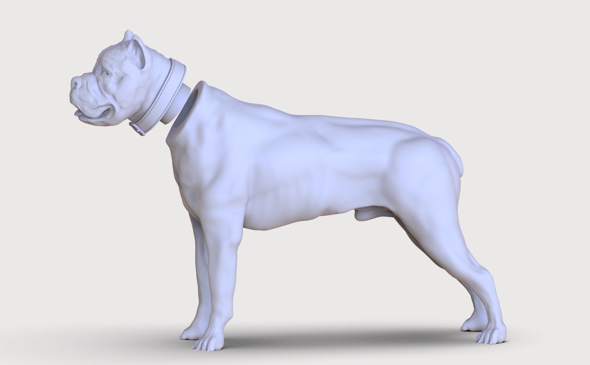 three dog breed Canne Corso 3D print model_27