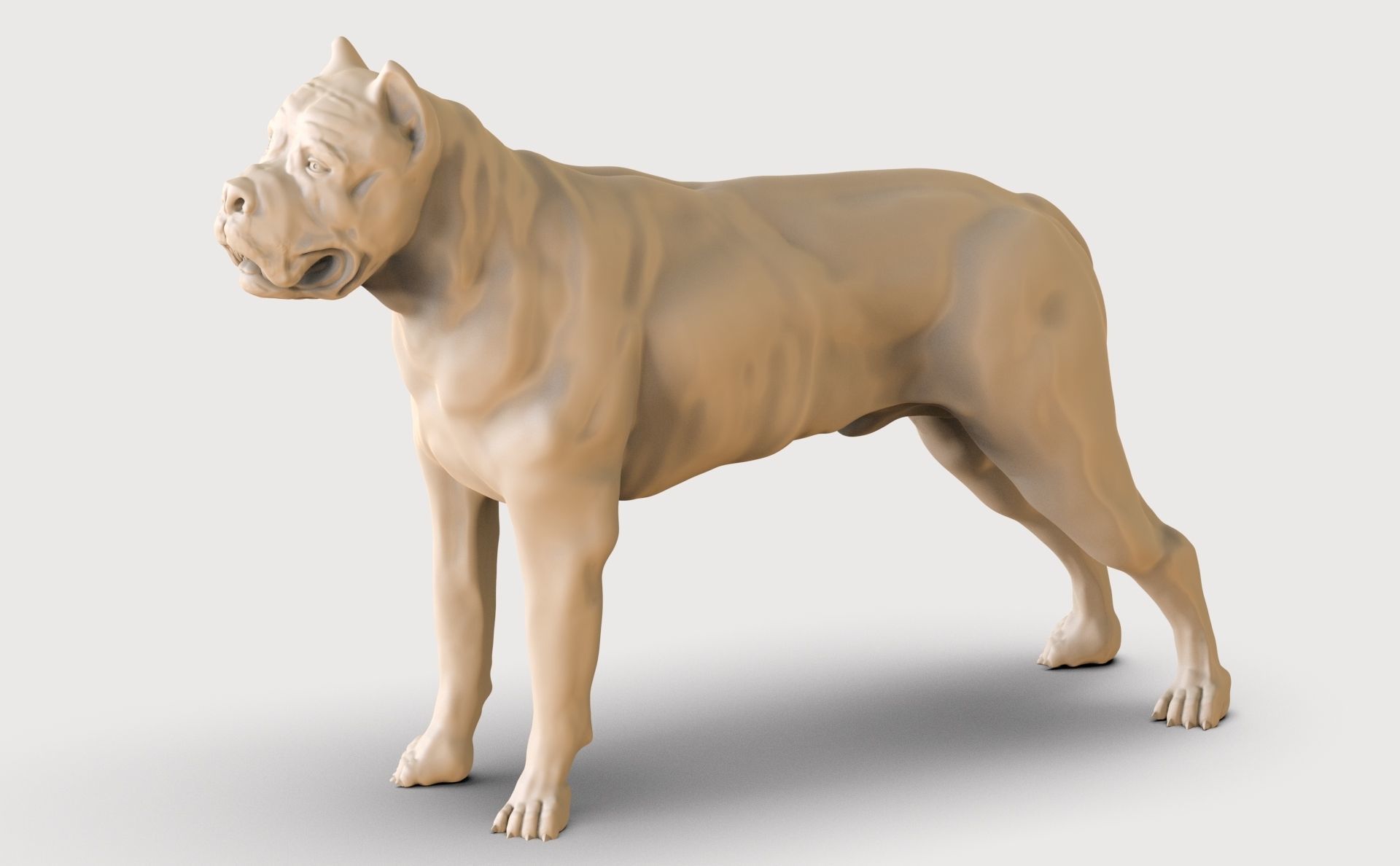 three dog breed Canne Corso 3D print model_20