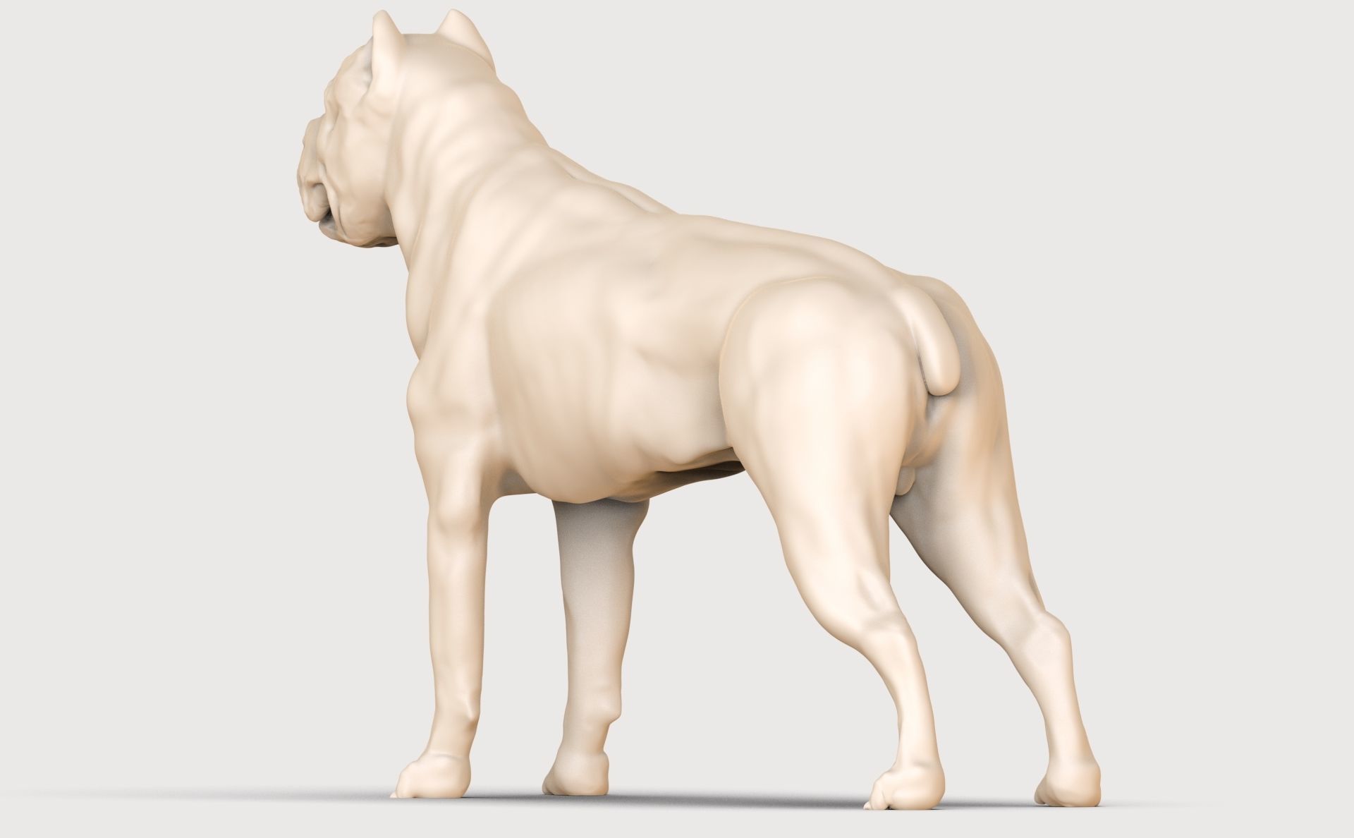 three dog breed Canne Corso 3D print model_22