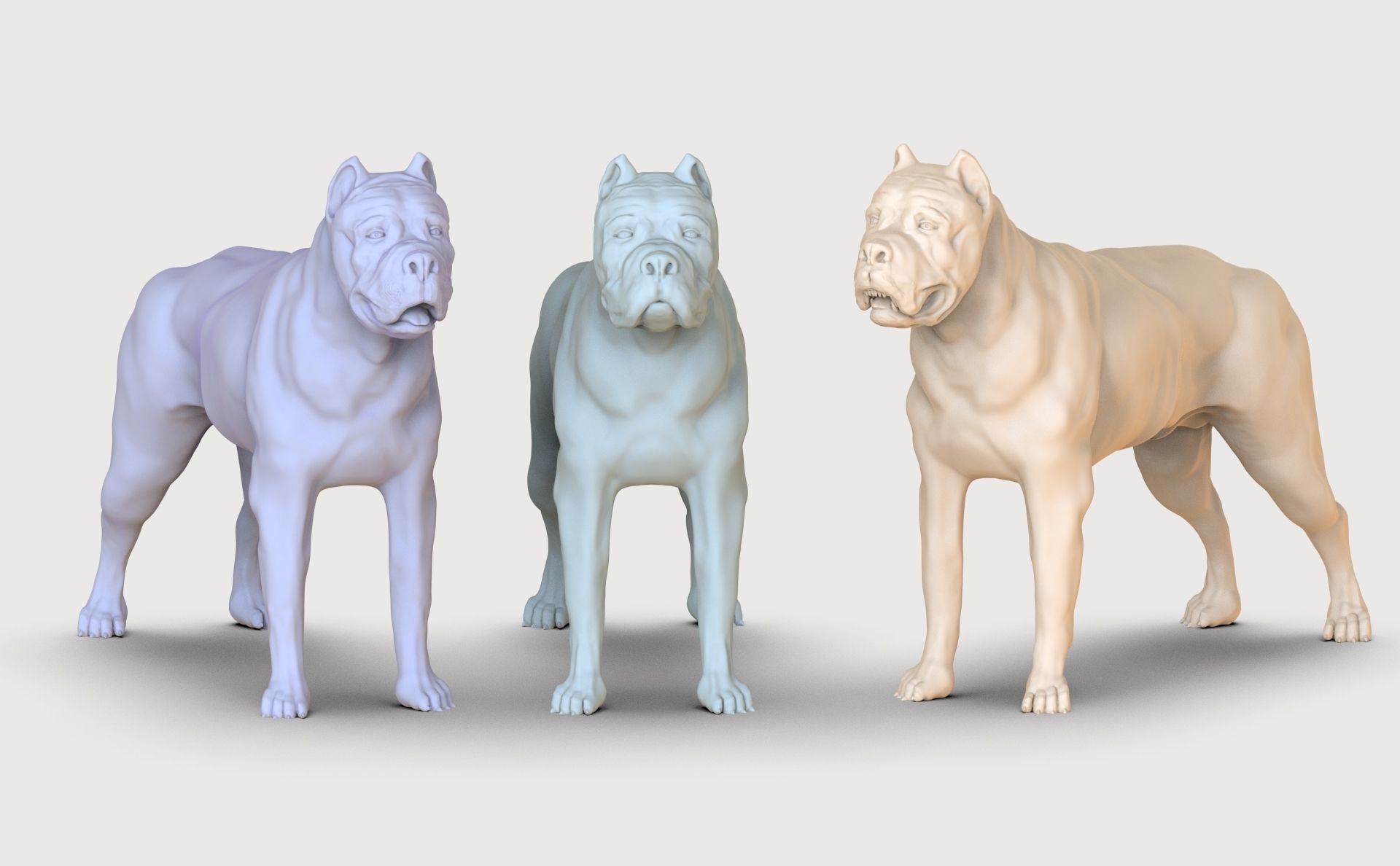 three dog breed Canne Corso 3D print model_26