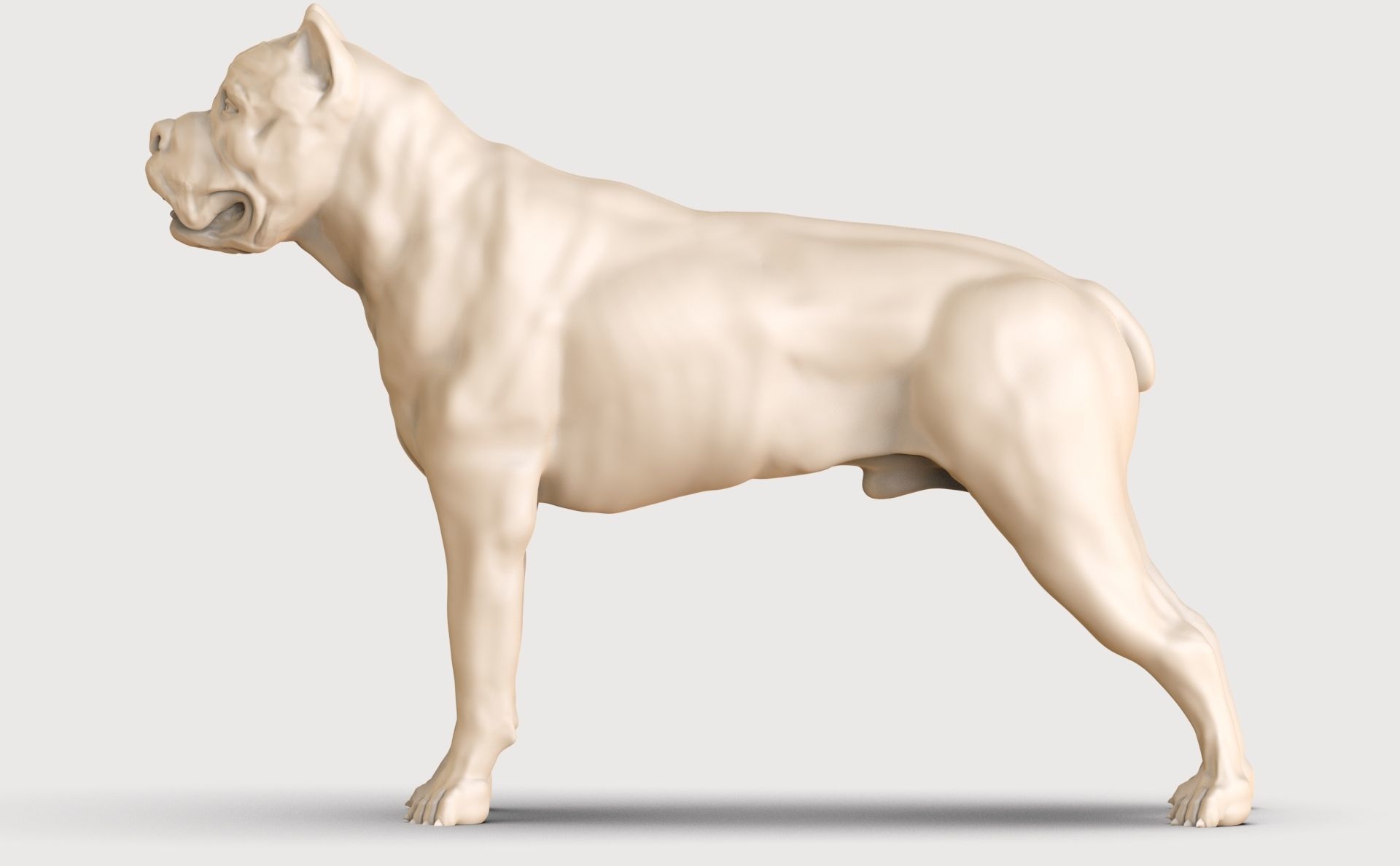 three dog breed Canne Corso 3D print model_21