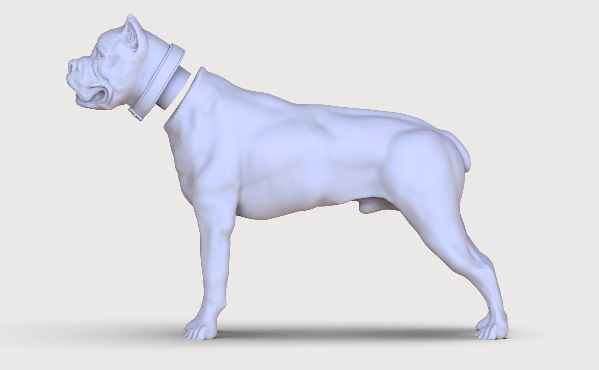 three dog breed Canne Corso 3D print model_24