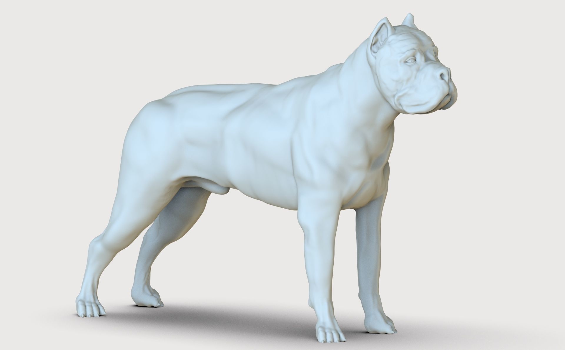three dog breed Canne Corso 3D print model_14