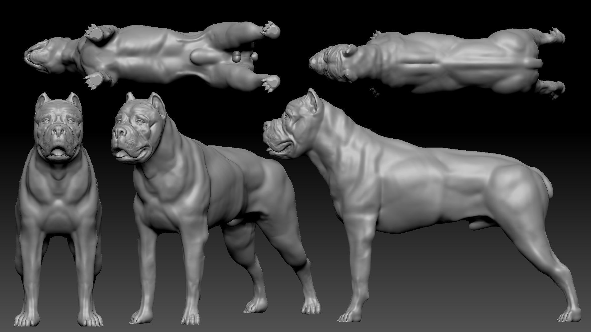 three dog breed Canne Corso 3D print model_1