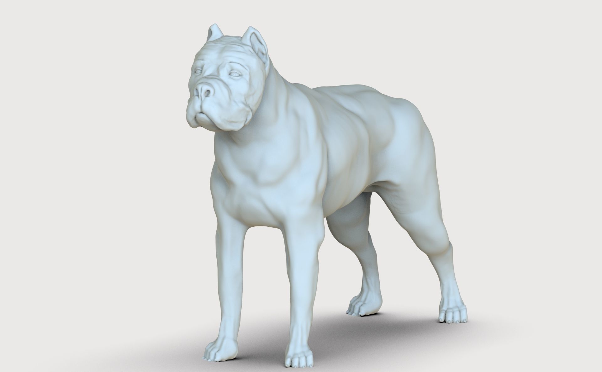 three dog breed Canne Corso 3D print model_12