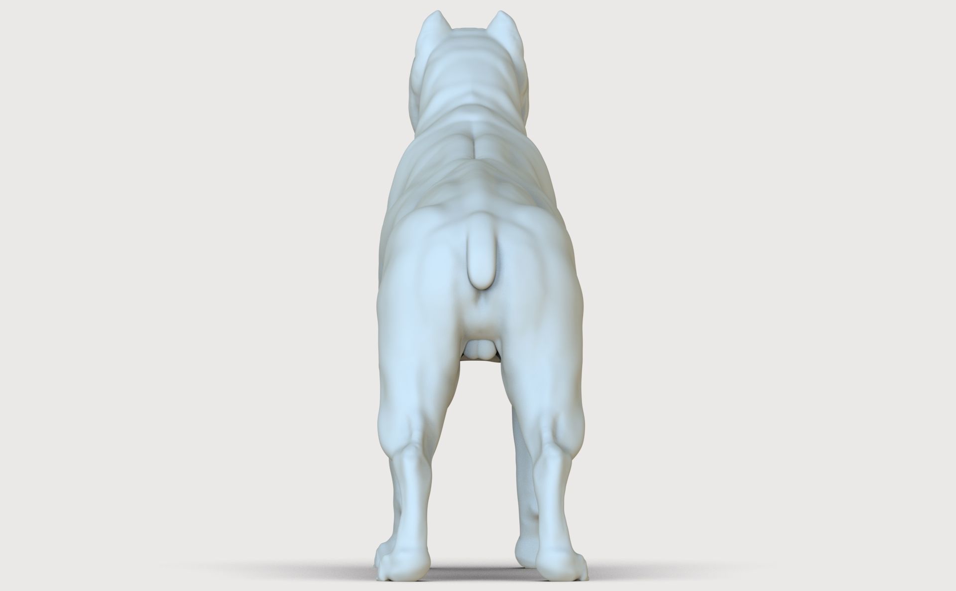 three dog breed Canne Corso 3D print model_16