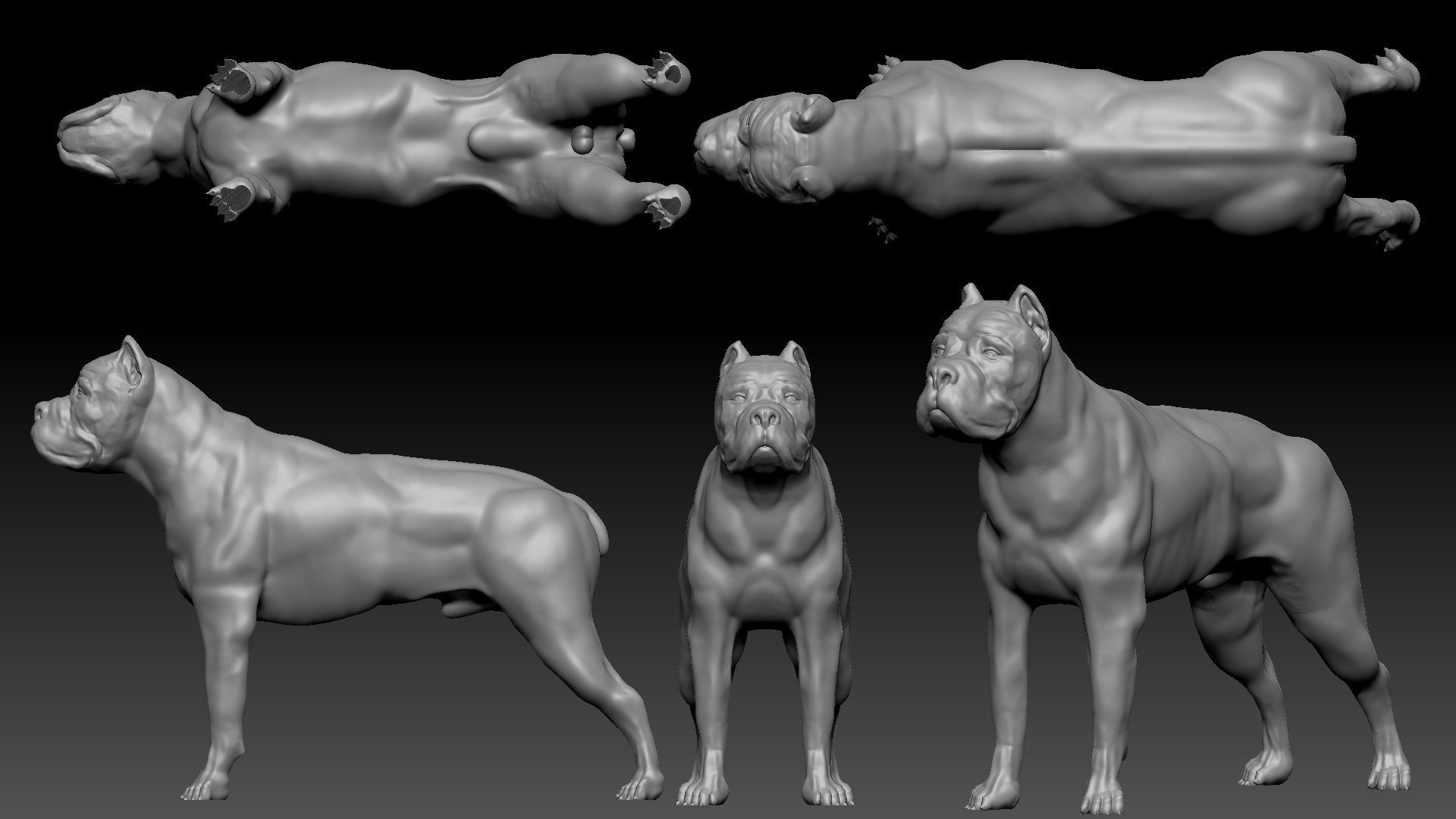 three dog breed Canne Corso 3D print model_2