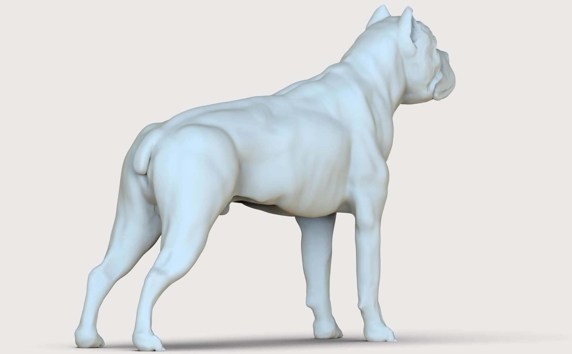 three dog breed Canne Corso 3D print model_15