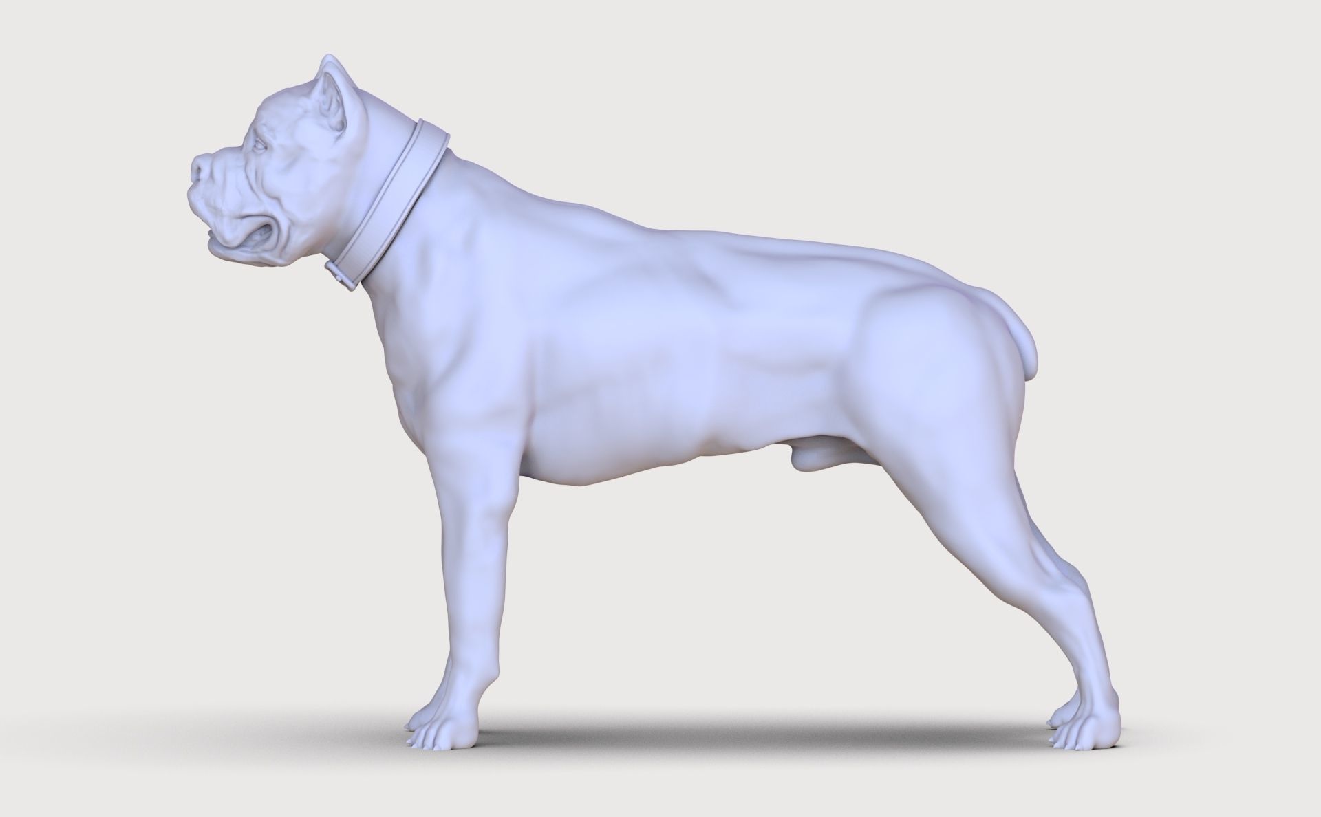 three dog breed Canne Corso 3D print model_23