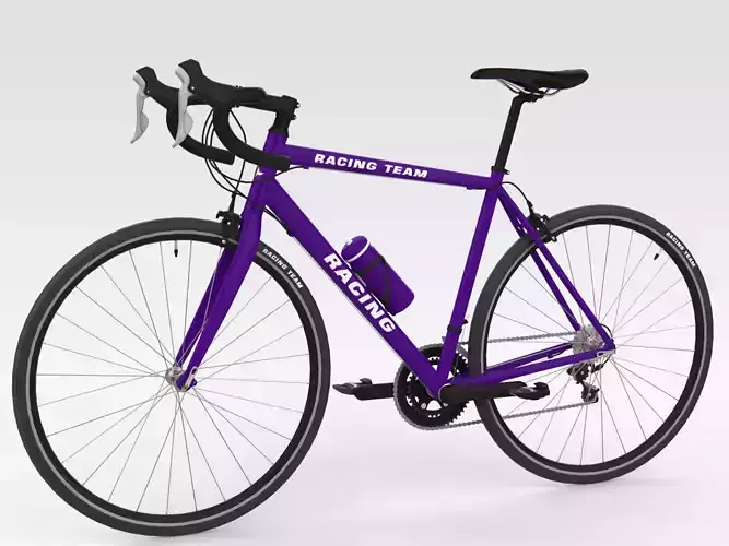 Racing Bicycle - Purple