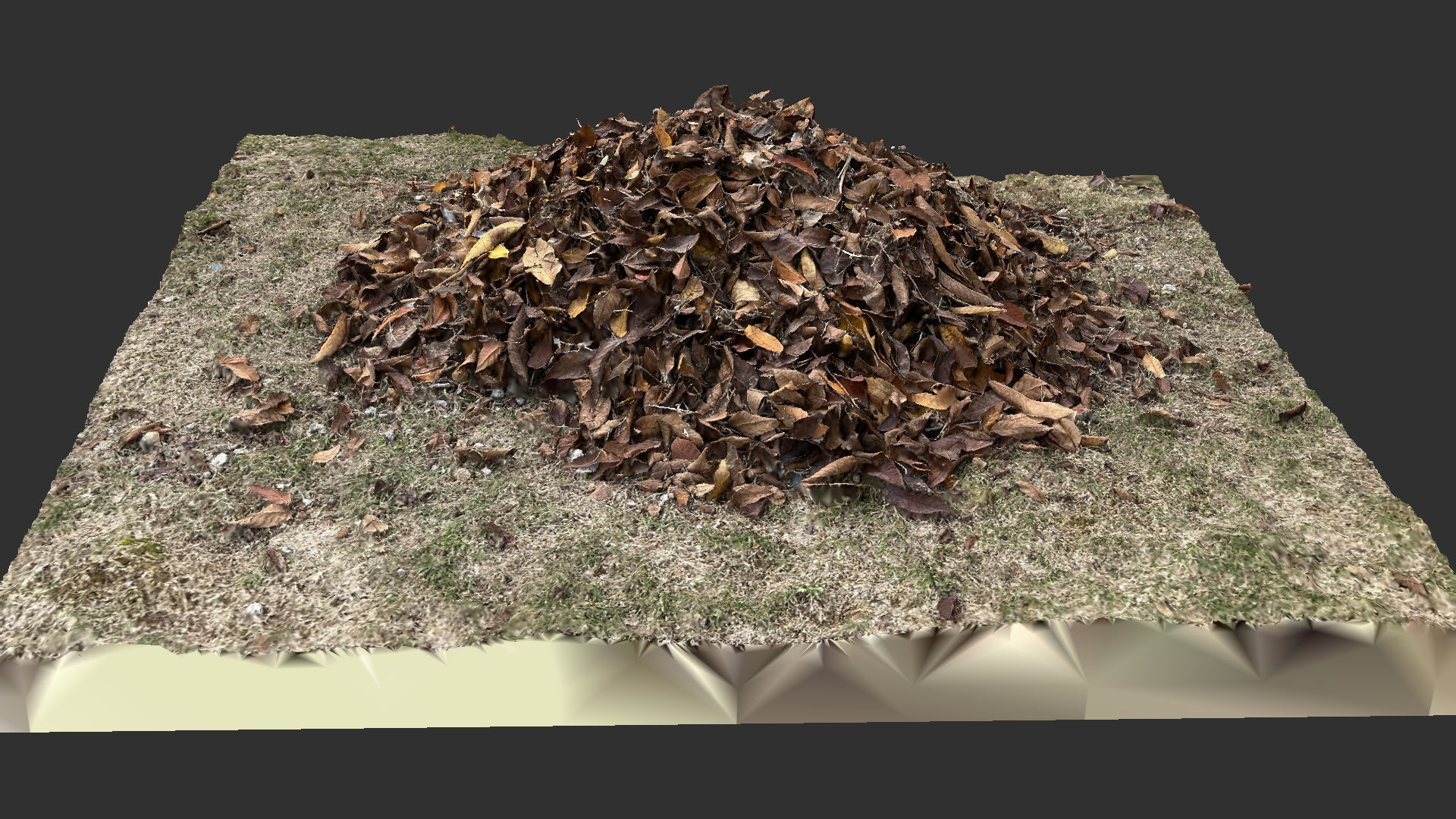 Leaves on the ground 3d scan 3D model_10