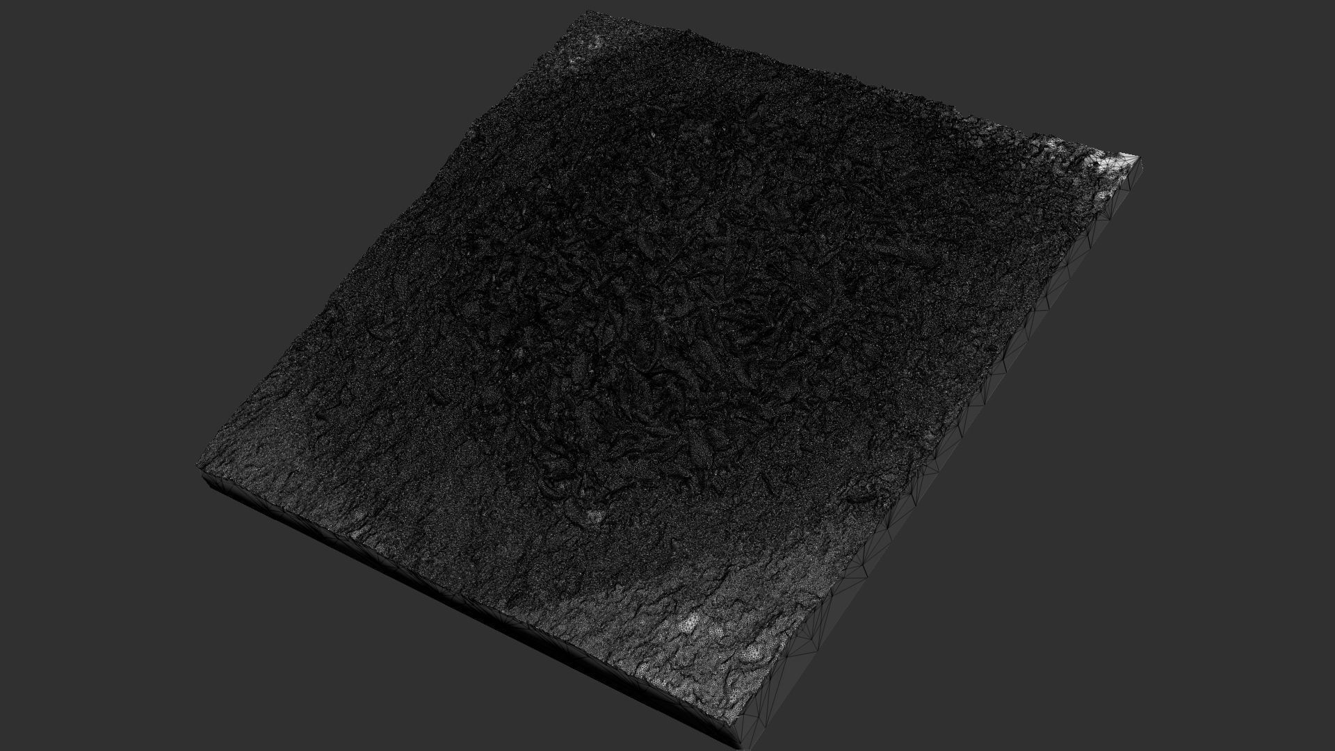 Leaves on the ground 3d scan 3D model_14