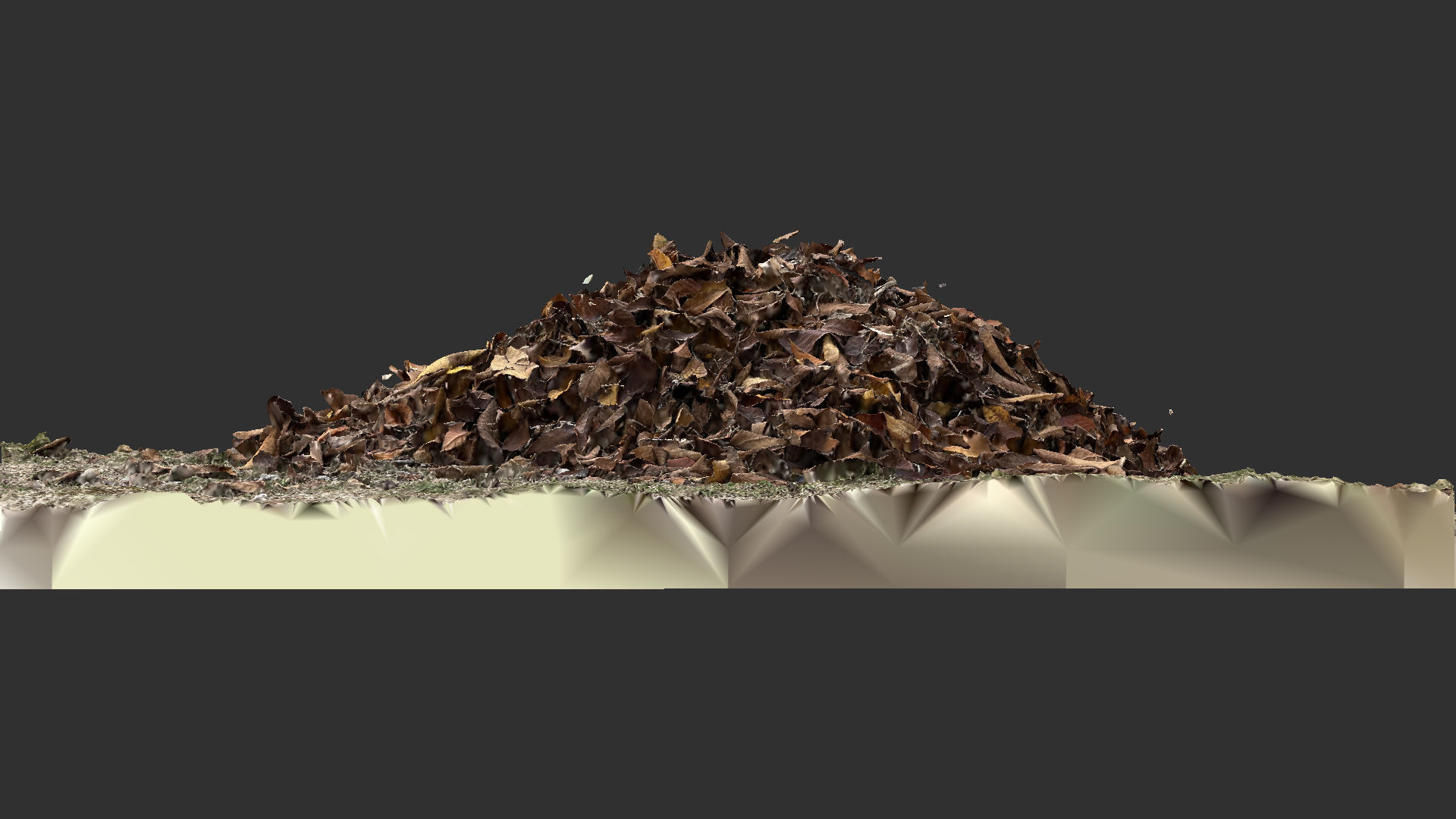 Leaves on the ground 3d scan 3D model_8