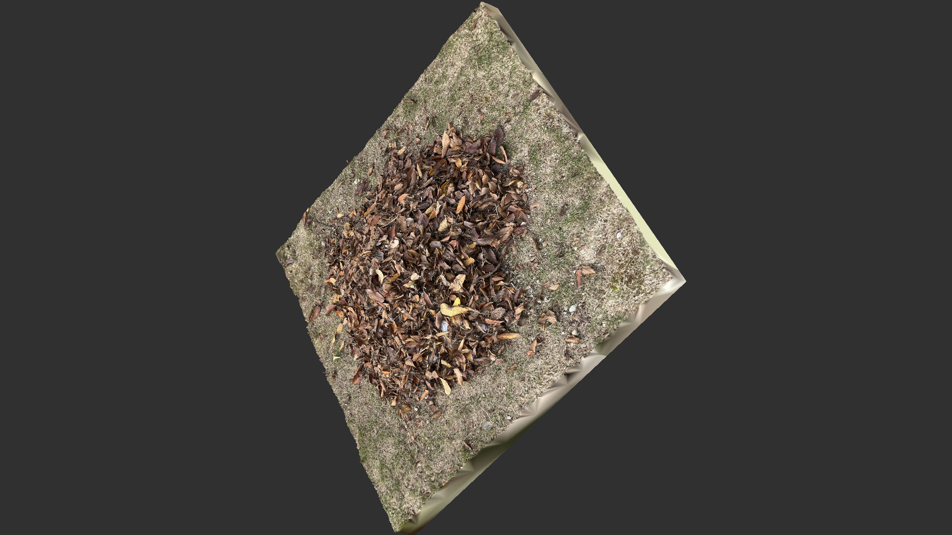 Leaves on the ground 3d scan 3D model_3