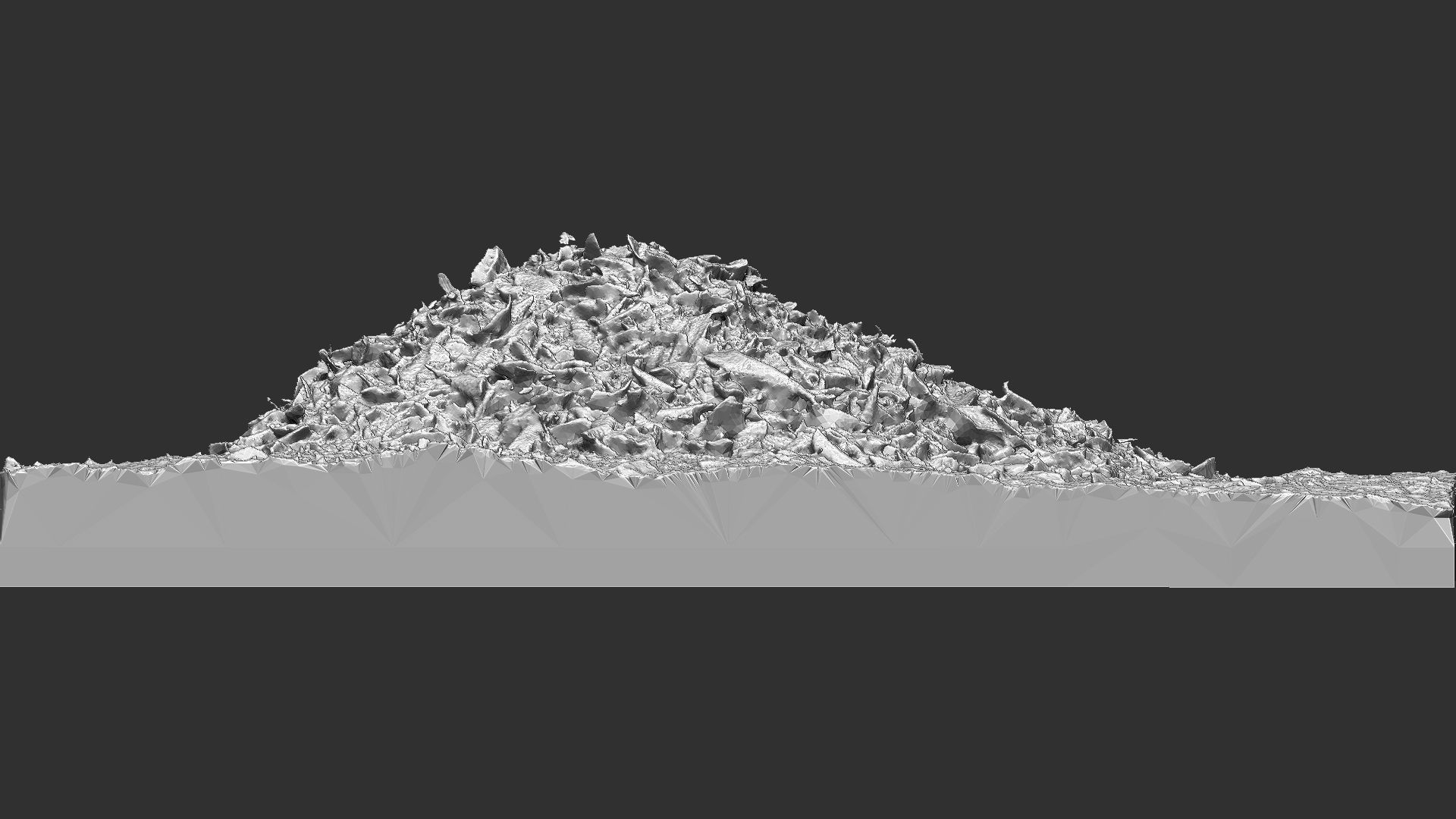 Leaves on the ground 3d scan 3D model_13